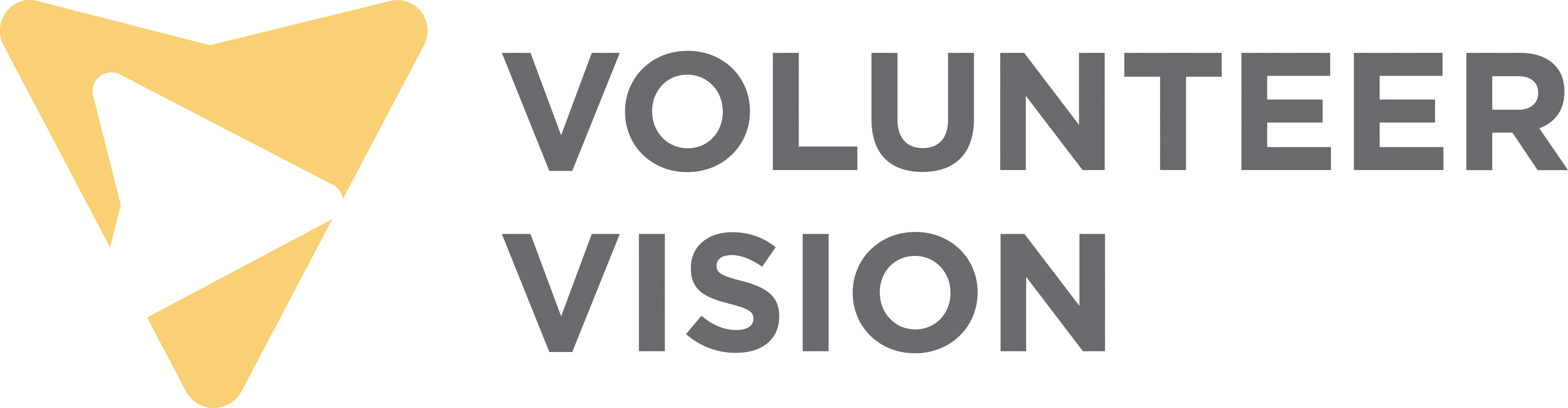 volunteer vision 